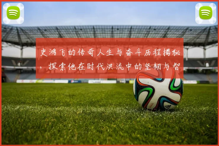 史鸿飞的传奇人生与奋斗历程揭秘，探索他在时代洪流中的坚韧与智慧
