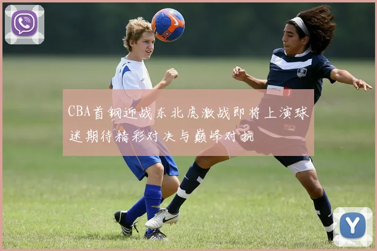 CBA首钢迎战东北虎激战即将上演球迷期待精彩对决与巅峰对抗