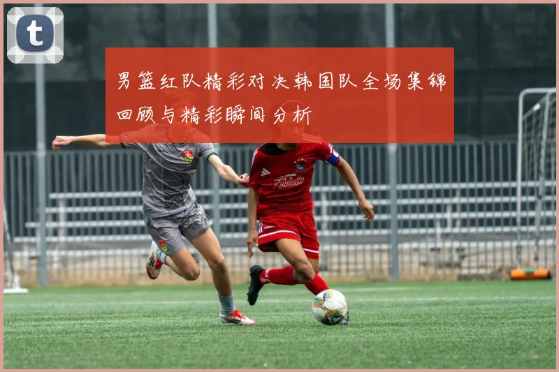 男篮红队精彩对决韩国队全场集锦回顾与精彩瞬间分析